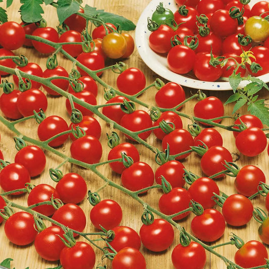 Colorful Cherry Tomatoes Seeds